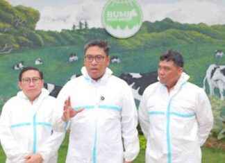 Vaksinasi Sapinya Cegah PMK: Harga Terjangkau untuk Peternak di Jatim – Tribunnews vaksinasi-sapinya-cegah-pmk-harga-terjangkau-untuk-peternak-di-jatim-tribunnews