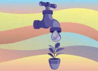 Wealth Tax Amid Social Inequality Diorama, Utopian or Realistic? – wealth-tax-amid-social-nequality-diorama-utopian-or-realistic-jurnoid