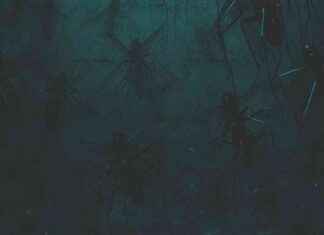 Why Do Mosquitoes Prefer Cold Temperatures? – why-do-mosquitoes-prefer-cold-temperatures-jurnoid