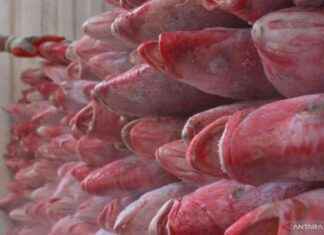 Boosting Indonesia’s Red Snapper Exports to US Market boosting-ndonesias-red-snapper-exports-to-us-market