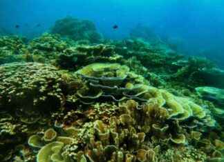 Expanding Conservation Areas to Boost Blue Economy expanding-conservation-areas-to-boost-blue-economy