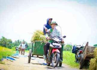 Food production trends for 2025: Positive developments revealed food-production-trends-for-2025-positive-developments-revealed