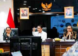 NTT targets 188,000 ha for paddy cultivation ntt-targets-188000-ha-for-paddy-cultivation