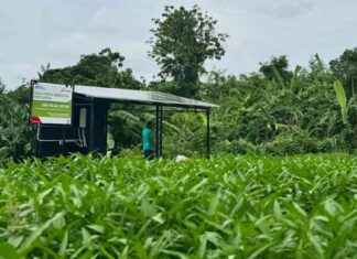 Pertamina’s Initiative: Building 159 Independent Energy Villages pertaminas-nitiative-building-159-ndependent-energy-villages