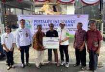 Save Earth with Eco Enzyme: PertaLife Insurance Cares – Jurno save-earth-with-eco-enzyme-pertalife-nsurance-cares-jurno