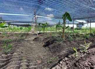 Supporting Energy Independence for Sumengko Village Economy – Jurno supporting-energy-ndependence-for-sumengko-village-economy-jurno