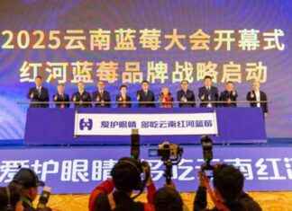 Yunnan’s Honghe Blueberry Brand Strategy Boosts Industry Growth yunnans-honghe-blueberry-brand-strategy-boosts-ndustry-growth