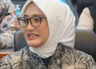 Integrasi Perizinan KKP-BPN-Pemda untuk Hindari Kasus Pagar Laut ntegrasi-perizinan-kkp-bpn-pemda-untuk-hindari-kasus-pagar-laut