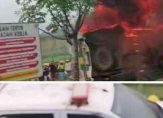 Riots and Looting at IMIP Morowali Industrial Area: A Detailed Report riots-and-looting-at-mp-morowali-ndustrial-area-a-detailed-report