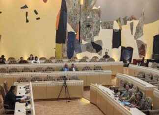 Rising Number of Single Candidates in 2024 Elections: Academic Reveals Dark Side of Democracy rising-number-of-single-candidates-in-2024-elections-academic-reveals-dark-side-of-democracy