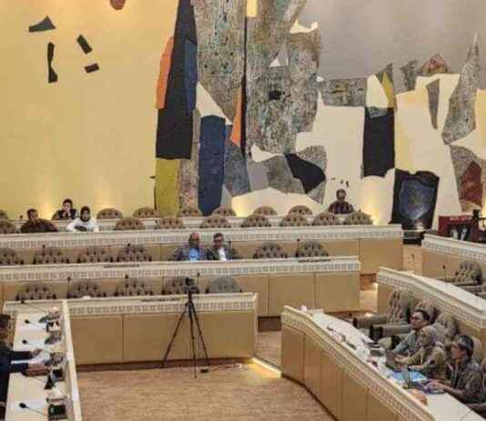 Rising Number of Single Candidates in 2024 Elections: Academic Reveals Dark Side of Democracy rising-number-of-single-candidates-in-2024-elections-academic-reveals-dark-side-of-democracy