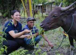 Empowering Local Farmers: Bridging the Gap Through Qurban Distribution empowering-local-farmers-bridging-the-gap-through-qurban-distribution