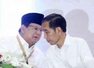 Free ITB Student Behind Prabowo-Jokowi Meme – Tribunnews free-tb-student-behind-prabowo-jokowi-meme-tribunnews