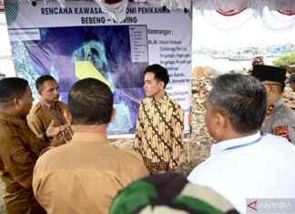 Government’s Focus on Strengthening Marine and Fisheries Sectors governments-focus-on-strengthening-marine-and-fisheries-sectors