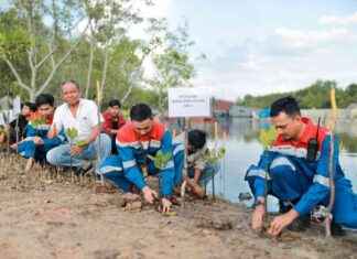 Pertamina Strengthens Sustainable Forest Program for NZE 2060 – Jurno.id pertamina-strengthens-sustainable-forest-program-for-nze-2060-jurnoid