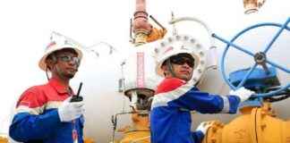 Positive Performance, PHE Oil and Gas Production in Q1 2025 Reaches 1.04 Million Barrels Equivalent per Day positive-performance-phe-oil-and-gas-production-in-q1-2025-reaches-104-million-barrels-equivalent-per-day