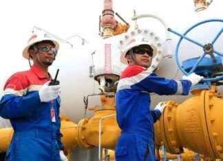 Positive Performance, PHE Oil and Gas Production in Q1 2025 Reaches 1.04 Million Barrels Equivalent per Day positive-performance-phe-oil-and-gas-production-in-q1-2025-reaches-104-million-barrels-equivalent-per-day