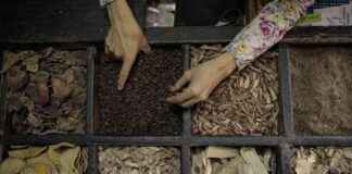 Prioritaskan Pengobatan Alami di Indonesia untuk Transformasi Kesehatan prioritaskan-pengobatan-alami-di-ndonesia-untuk-transformasi-kesehatan