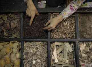 Prioritaskan Pengobatan Alami di Indonesia untuk Transformasi Kesehatan prioritaskan-pengobatan-alami-di-ndonesia-untuk-transformasi-kesehatan