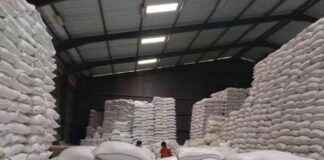 Using Rice Surplus for Humanitarian Missions: Indonesia’s Plans using-rice-surplus-for-humanitarian-missions-ndonesias-plans