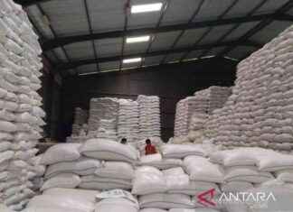 Using Rice Surplus for Humanitarian Missions: Indonesia’s Plans using-rice-surplus-for-humanitarian-missions-ndonesias-plans
