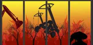 Why Indonesia’s Agrarian Sector Lags Behind Vietnam and China – Jurno.id why-ndonesias-agrarian-sector-lags-behind-vietnam-and-china-jurnoid